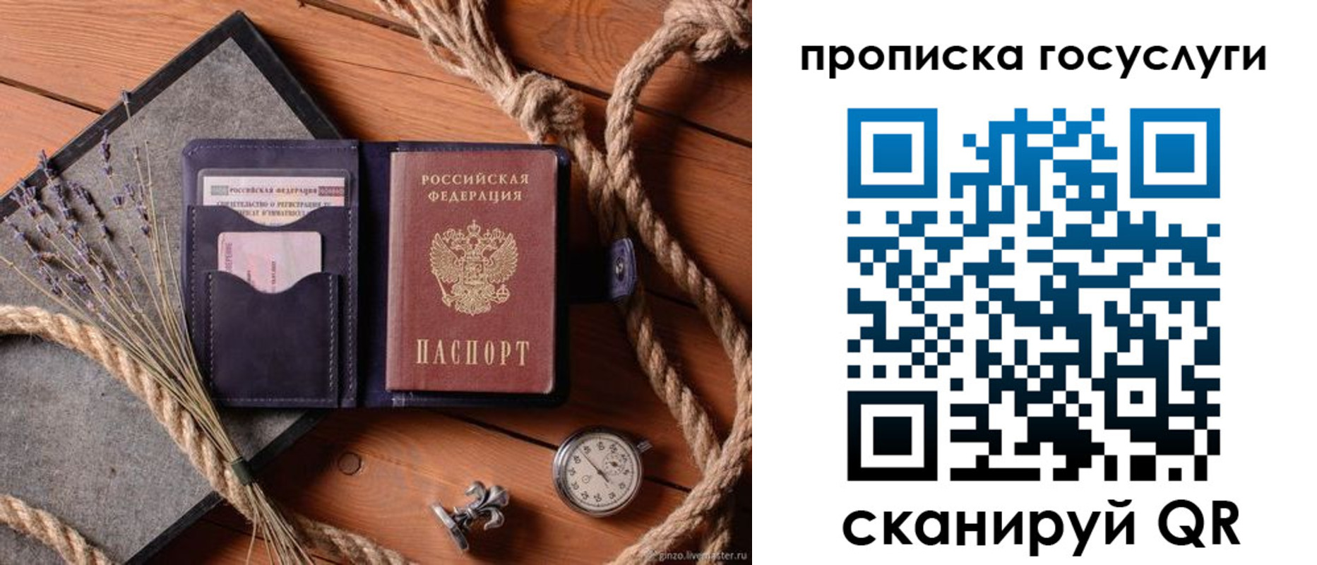 прописка поиск в Ленинградской области